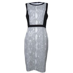 Calvin Klein Snake Print Contrast Sheath Dress